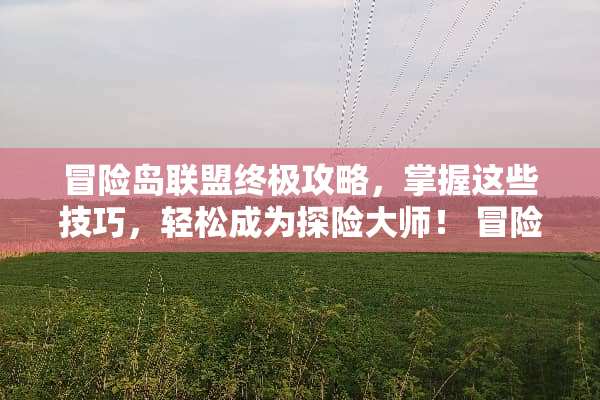 冒险岛联盟终极攻略，掌握这些技巧，轻松成为探险大师！ 冒险岛联盟攻略