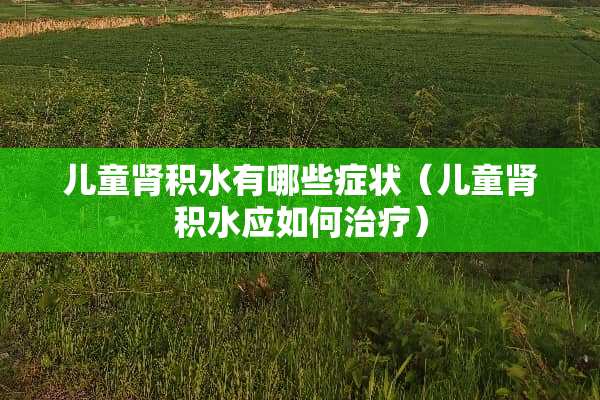 儿童肾积水有哪些症状（儿童肾积水应如何治疗）