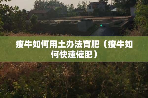 瘦牛如何用土办法育肥（瘦牛如何快速催肥）