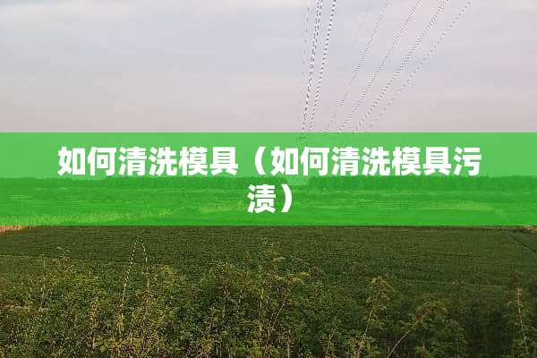 如何清洗模具（如何清洗模具污渍）