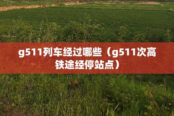 g511列车经过哪些（g511次高铁途经停站点）