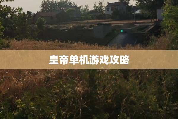 皇帝单机游戏攻略 皇帝单机游戏攻略