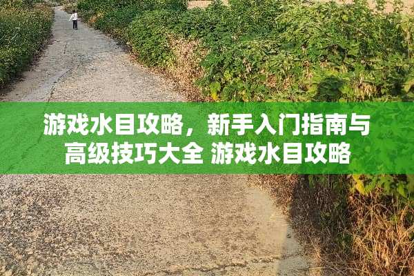 游戏水目攻略,新手入门指南与高级技巧大全 游戏水目攻略 游戏水目攻略,新手入门指南与高级技巧大全 游戏水目攻略