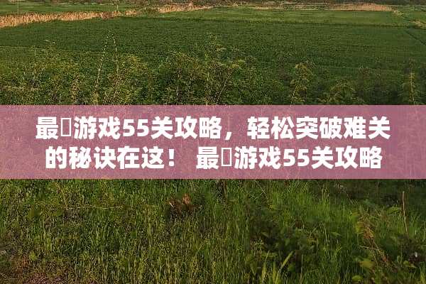 最囧游戏55关攻略，轻松突破难关的秘诀在这！ 最囧游戏55关攻略