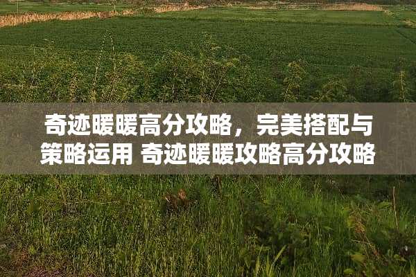 奇迹暖暖高分攻略，完美搭配与策略运用 奇迹暖暖攻略高分攻略