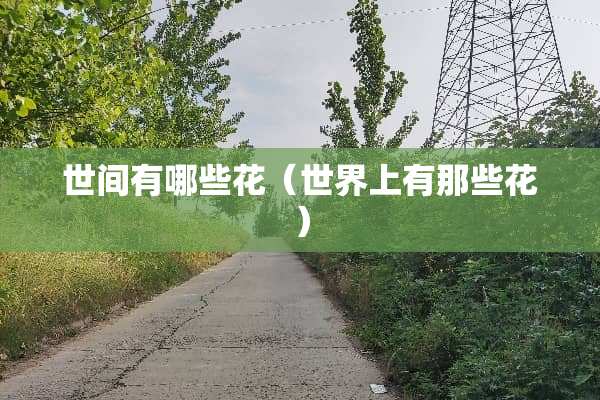 世间有哪些花（世界上有那些花）