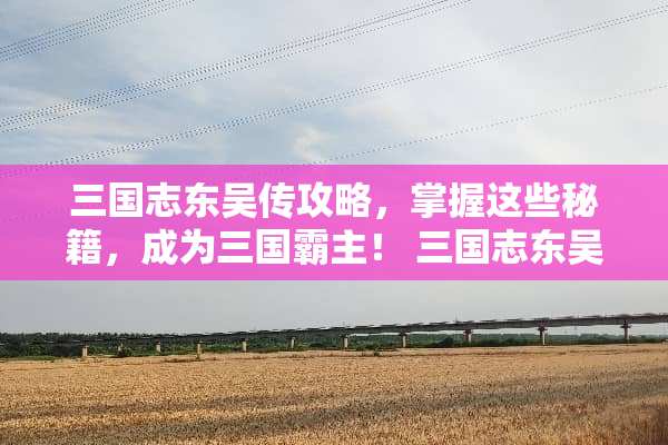 三国志东吴传攻略，掌握这些秘籍，成为三国霸主！ 三国志东吴传攻略