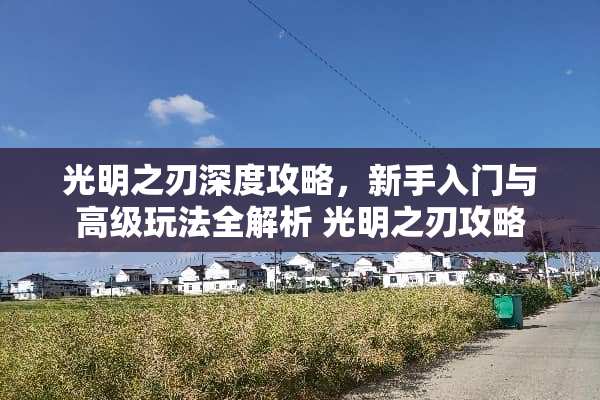 光明之刃深度攻略，新手入门与高级玩法全解析 光明之刃攻略