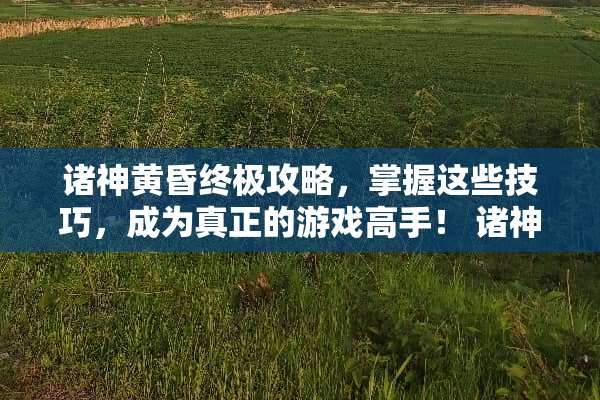 诸神黄昏终极攻略，掌握这些技巧，成为真正的游戏高手！ 诸神黄昏攻略