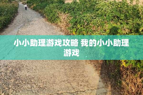 小小助理游戏攻略 我的小小助理游戏