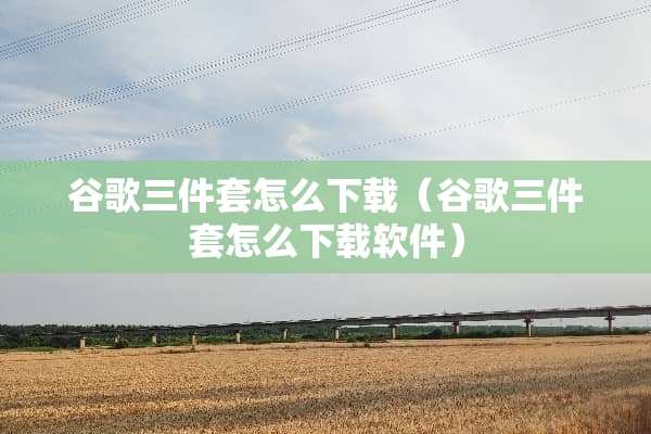谷歌三件套怎么下载（谷歌三件套怎么下载软件）