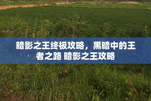 暗影之王终极攻略，黑暗中的王者之路 暗影之王攻略