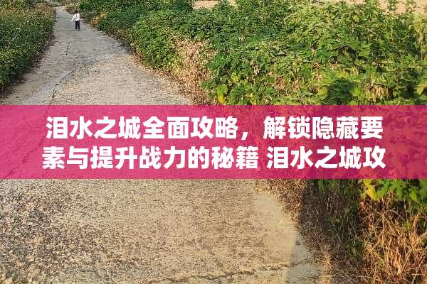 泪水之城全面攻略，解锁隐藏要素与提升战力的秘籍 泪水之城攻略