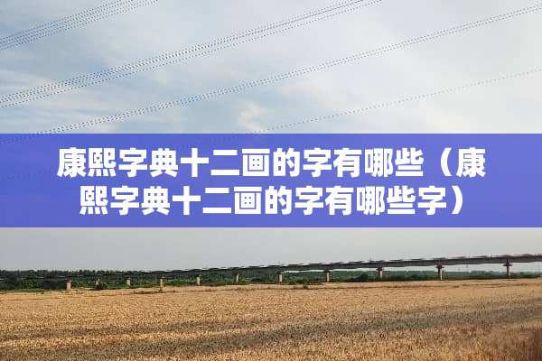 康熙字典十二画的字有哪些（康熙字典十二画的字有哪些字）