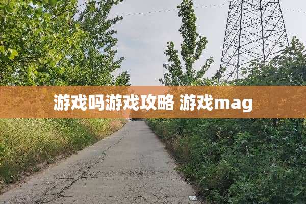 游戏吗游戏攻略 游戏mag