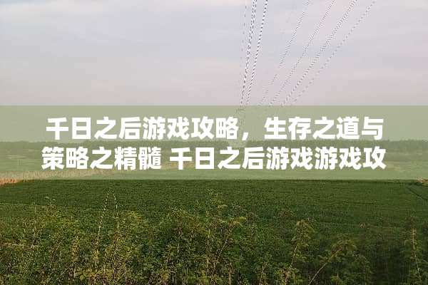 千日之后游戏攻略，生存之道与策略之精髓 千日之后游戏游戏攻略