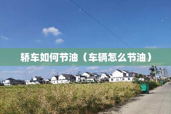 轿车如何节油（车辆怎么节油）
