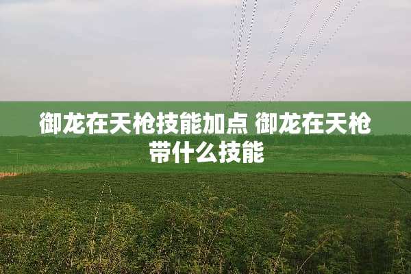 御龙在天*技能加点 御龙在天*带什么技能