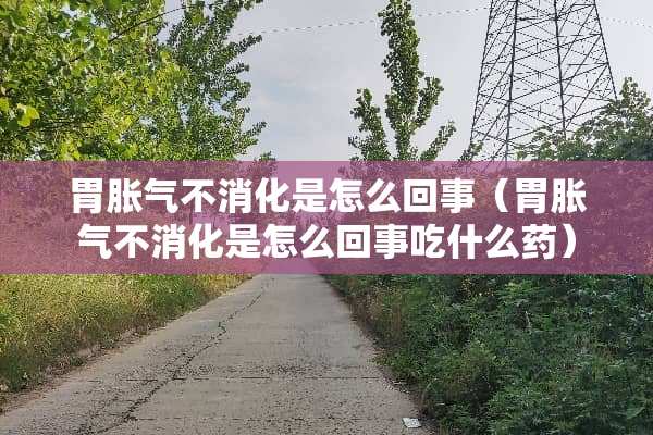 胃胀气不消化是怎么回事（胃胀气不消化是怎么回事吃什么药）
