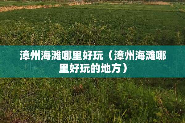 漳州海滩哪里好玩（漳州海滩哪里好玩的地方）