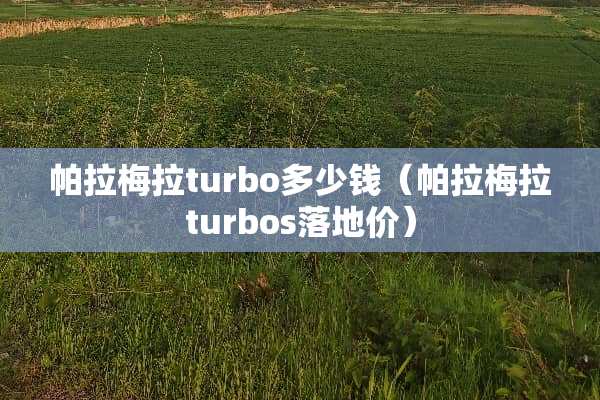帕拉梅拉turbo多少钱（帕拉梅拉turbos落地价）