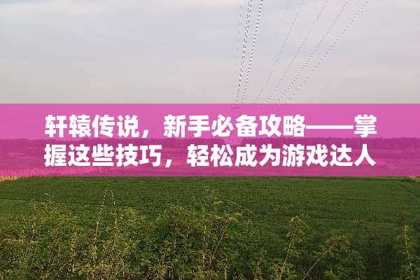轩辕传说，新手必备攻略——掌握这些技巧，轻松成为游戏达人 轩辕传说攻略