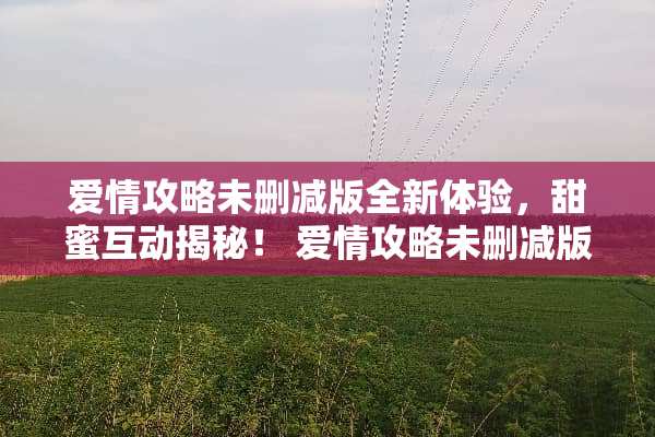 爱情攻略未删减版全新体验，甜蜜互动揭秘！ 爱情攻略未删减版