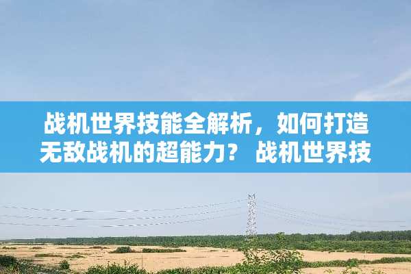 战机世界技能全解析，如何打造无敌战机的超能力？ 战机世界技能
