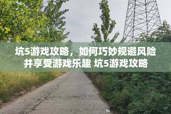 坑5游戏攻略,如何巧妙规避风险并享受游戏乐趣 坑5游戏攻略 坑5游戏攻略,如何巧妙规避风险并享受游戏乐趣 坑5游戏攻略