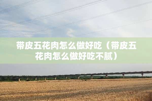 带皮五花肉怎么做好吃（带皮五花肉怎么做好吃不腻）