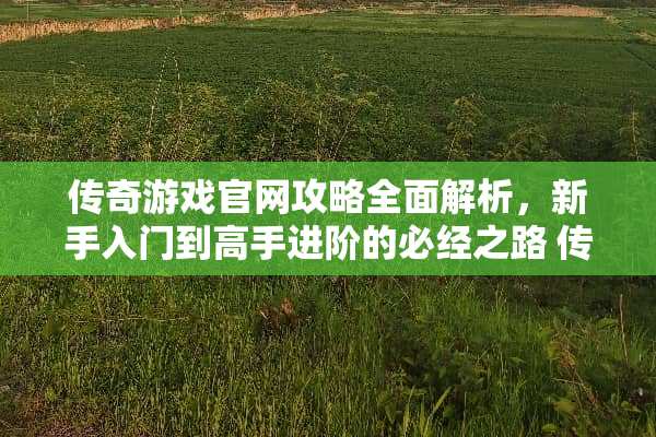 传奇游戏官网攻略全面解析,新手入门到高手进阶的必经之路 传奇游戏官网攻略 传奇游戏官网攻略全面解析,新手入门到高手进阶的必经之路 传奇游戏官网攻略