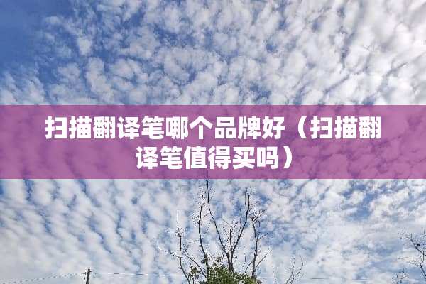 扫描翻译笔哪个品牌好（扫描翻译笔值得买吗）