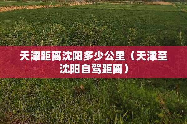 天津距离沈阳多少公里（天津至沈阳自驾距离）