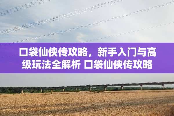 口袋仙侠传攻略，新手入门与高级玩法全解析 口袋仙侠传攻略