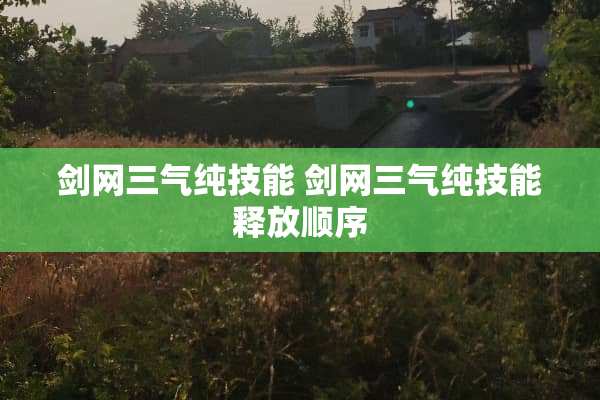 剑网三气纯技能 剑网三气纯技能释放顺序