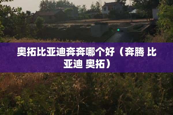 奥拓比亚迪奔奔哪个好（奔腾 比亚迪 奥拓）