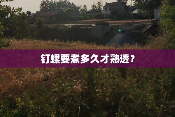 钉螺要煮多久才熟透？