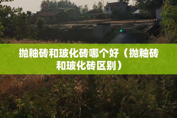 抛釉砖和玻化砖哪个好（抛釉砖和玻化砖区别）