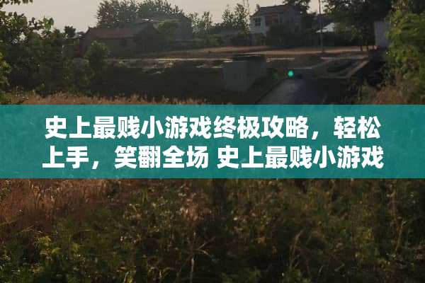 史上最贱小游戏终极攻略，轻松上手，笑翻全场 史上最贱小游戏全部攻略