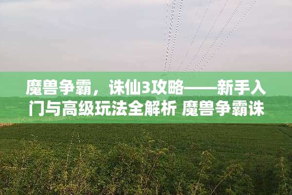 魔兽争霸，诛仙3攻略——新手入门与高级玩法全解析 魔兽争霸诛仙3攻略