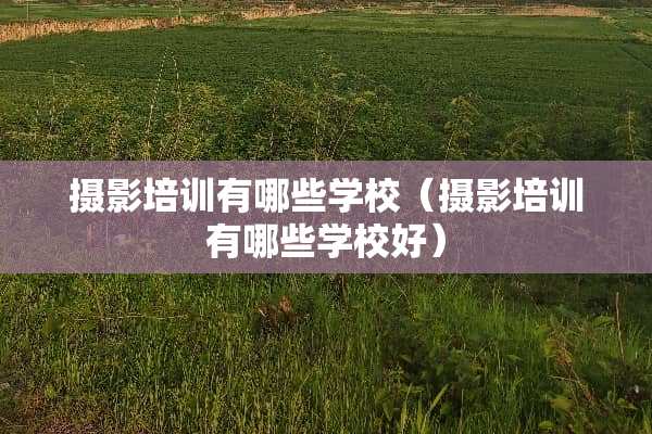 摄影培训有哪些学校（摄影培训有哪些学校好）
