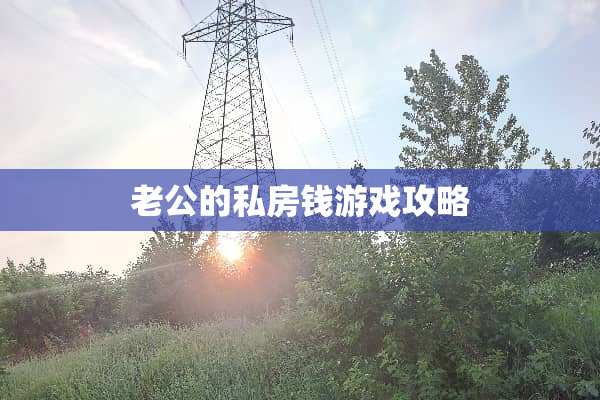 老公的私房钱游戏攻略