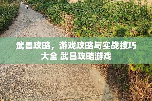 武昌攻略，游戏攻略与实战技巧大全 武昌攻略游戏