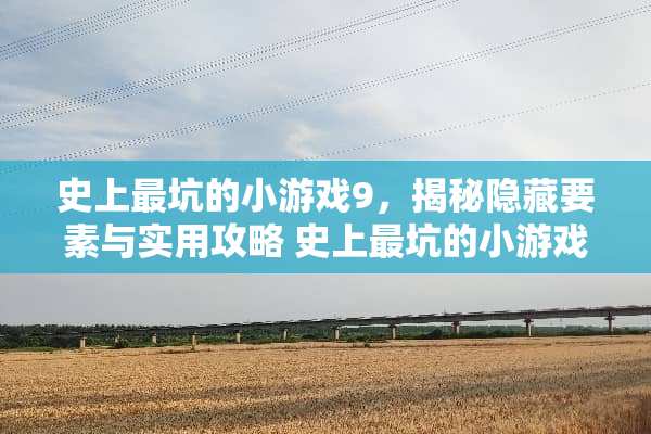 史上最坑的小游戏9，揭秘隐藏要素与实用攻略 史上最坑的小游戏9攻略