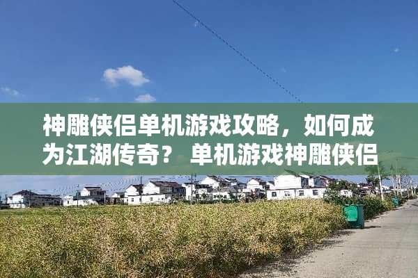 神雕侠侣单机游戏攻略，如何成为江湖传奇？ 单机游戏神雕侠侣攻略