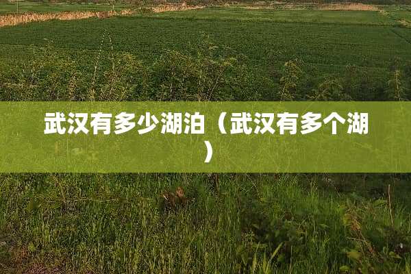 武汉有多少湖泊(武汉有多个湖)