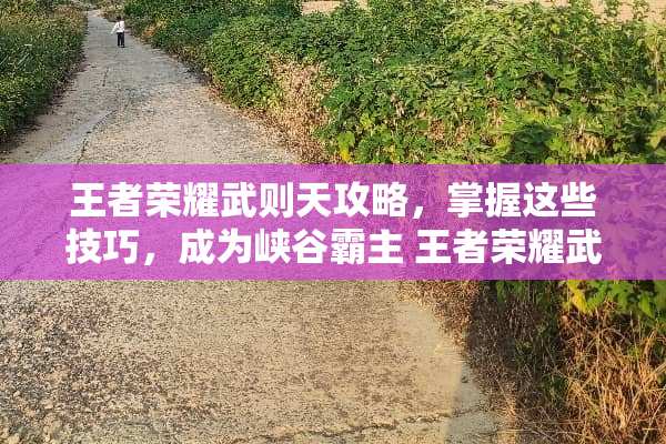 王者荣耀武则天攻略，掌握这些技巧，成为峡谷霸主 王者荣耀武则天攻略