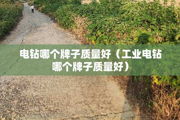 电钻哪个牌子质量好（工业电钻哪个牌子质量好）