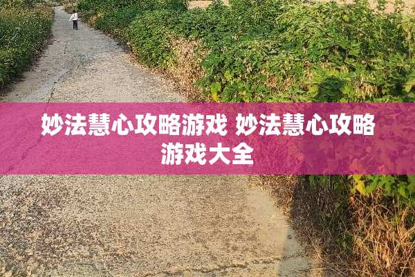 妙法慧心攻略游戏 妙法慧心攻略游戏大全