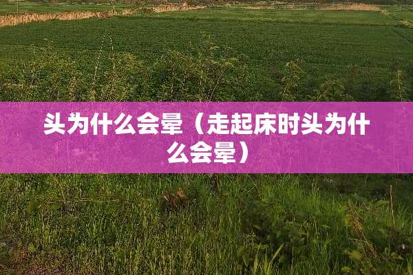 头为什么会晕（走起床时头为什么会晕）